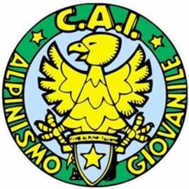 Logo Alp Giovanile